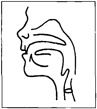 8.1 Labio-Dental Fricatives /f，v/